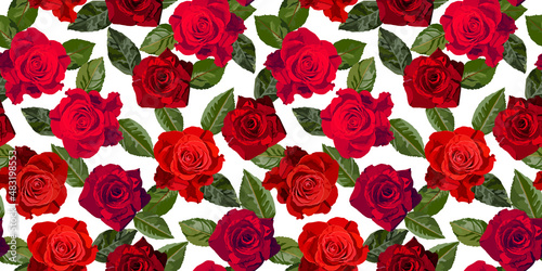 Red roses seamless pattern in white back