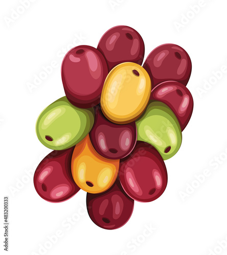 coffee grains design