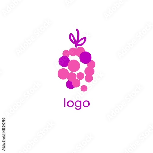 VECTOR of  round abstract sign berries. Grape. Blackberry. Raspberries. Logo. Business icon for the company.  Vector Illustration.