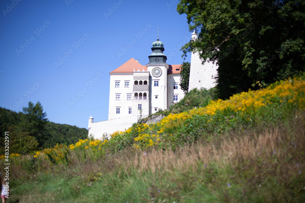 castle on the hill