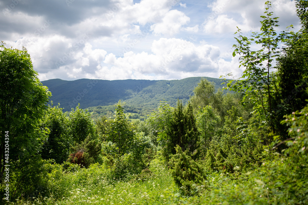 Obraz premium view from the mountain