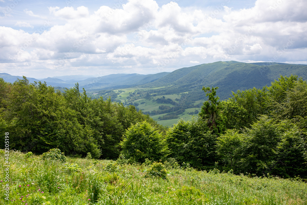 Obraz premium landscape with sky