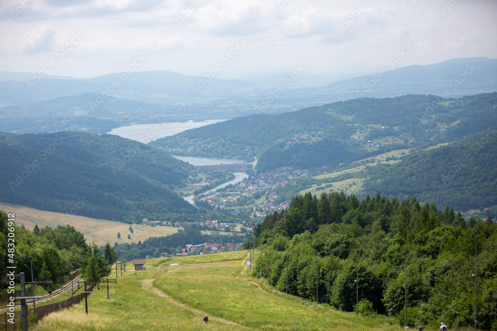 landscape in summer