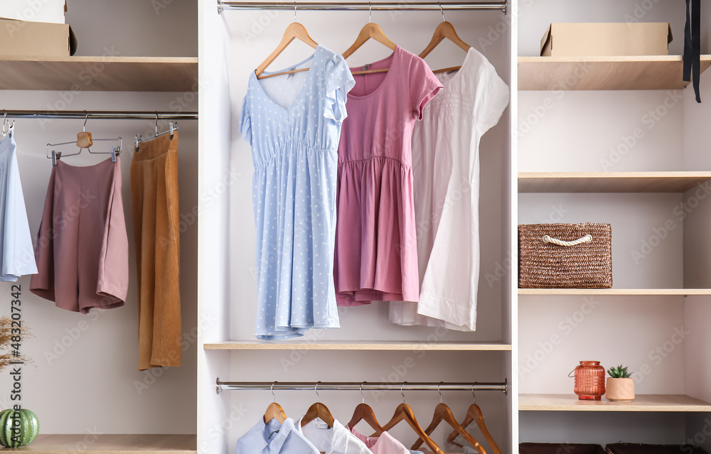 Hangers with trendy female clothes in wardrobe