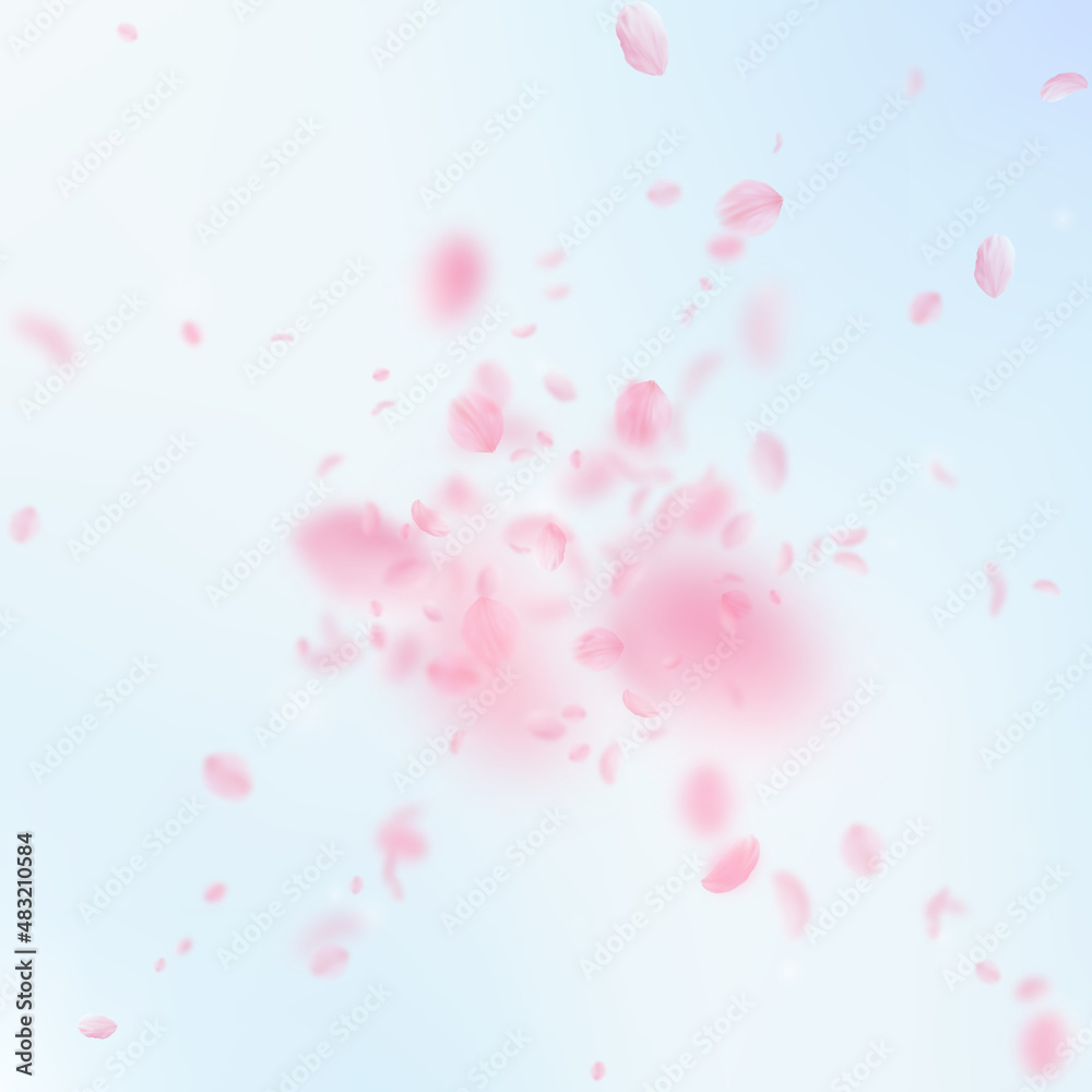 Sakura petals falling down. Romantic pink flowers explosion. Flying petals on blue sky square background. Love, romance concept. Elegant wedding invitation.