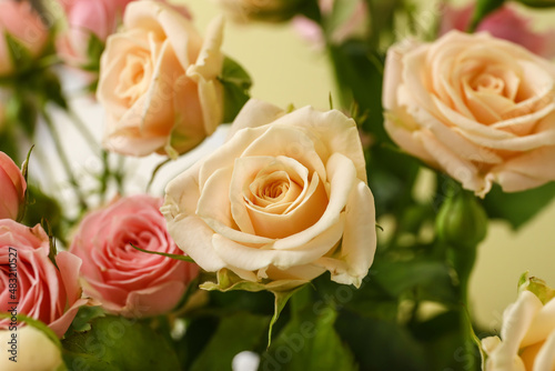 Bouquet of beautiful fresh roses on color background  closeup