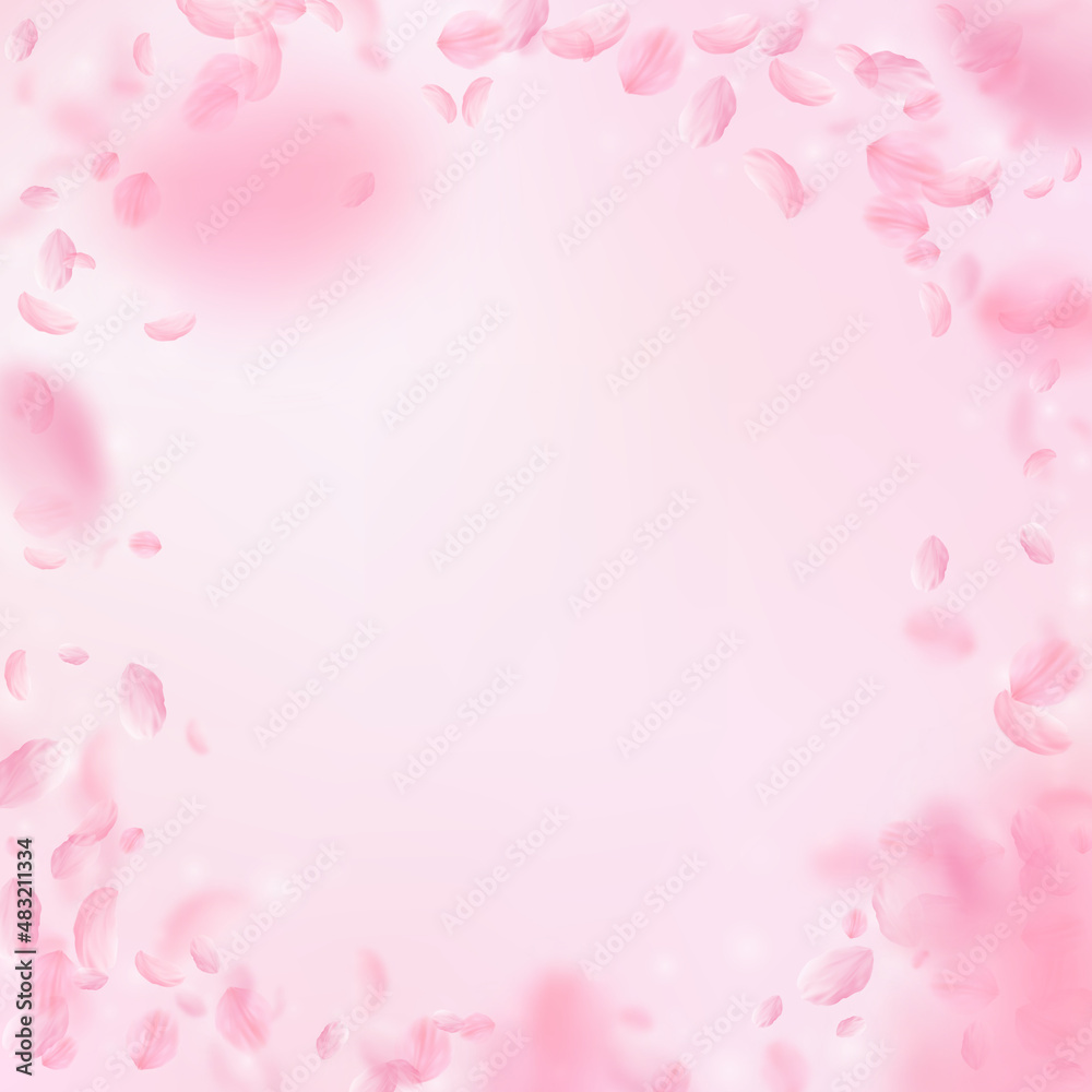 Sakura petals falling down. Romantic pink flowers vignette. Flying petals on pink square background. Love, romance concept. Fabulous wedding invitation.