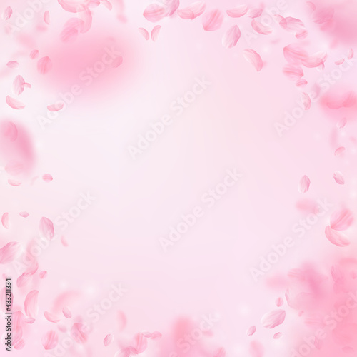 Sakura petals falling down. Romantic pink flowers vignette. Flying petals on pink square background. Love, romance concept. Fabulous wedding invitation.