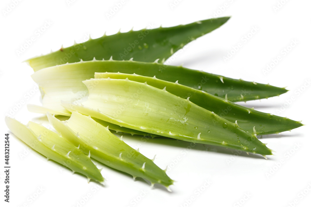 Aloevera on the table Aloevera on the table