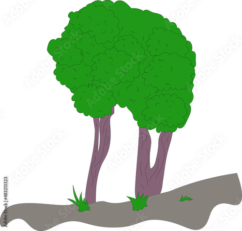  two tree looked like one tree because of has a lot of leaf and has little grass on the botom natural tree logo photo