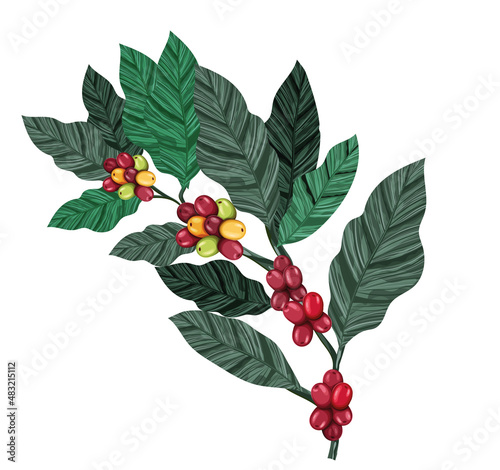coffee branch icon