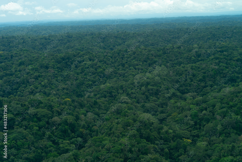 View of the Amazon from a light aircraft