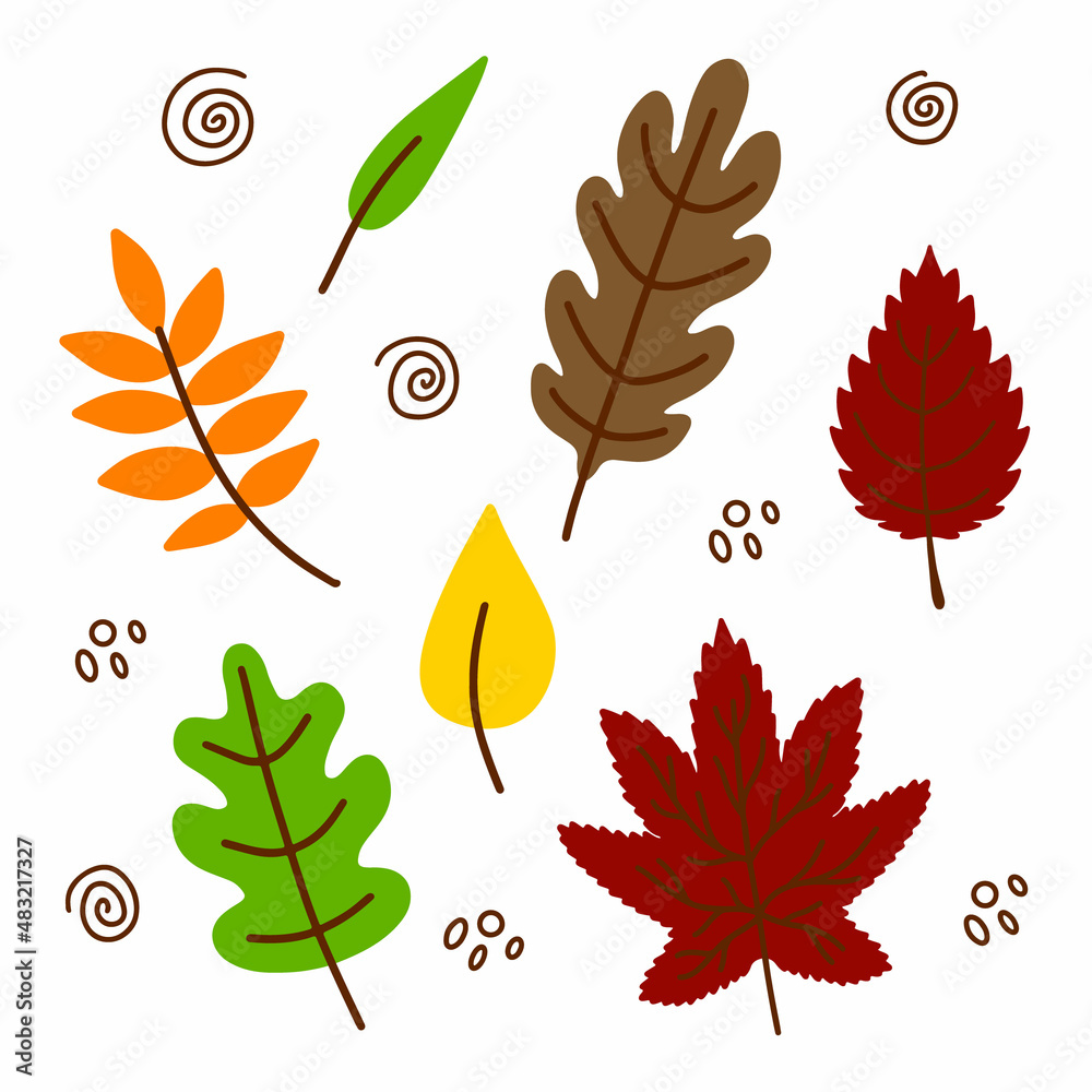 Vector hand drawn Autumn leaves set isolated on white background. Decorative doodle leaves. Cartoon scribble leaf icon for wedding design, wrapping, textiles, clothing, ornate and greeting cards