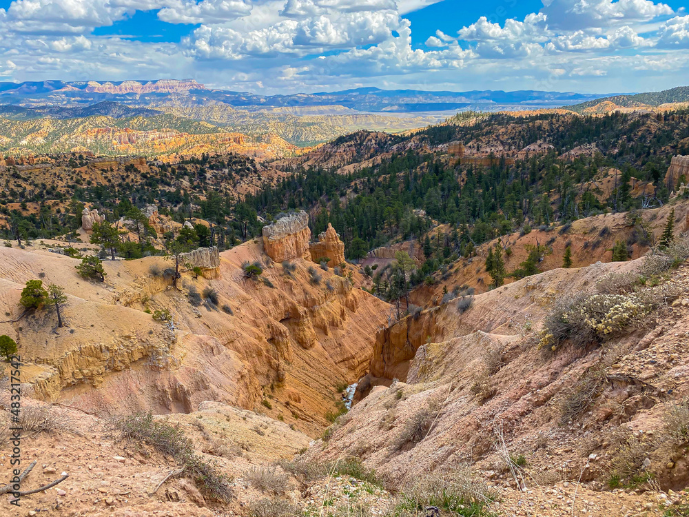 Utah's scenic natural landscapes are colorful with green trees and orange granite. Far below there is a river flowing in this landscape image of America's natural beauty