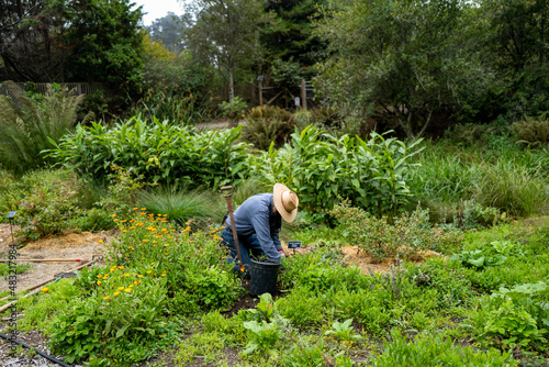MENDOCINO BOTANICAL GARDENER