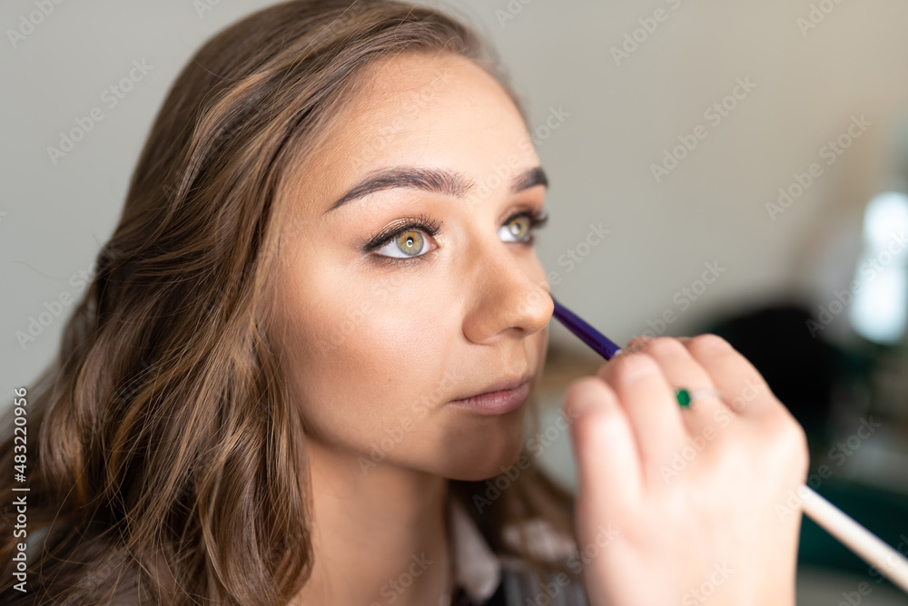 Make-up artist, a beautiful girl, applies makeup, close-up Make-up artist, a beautiful girl, applies makeup, close-up