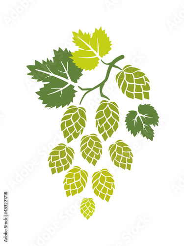 The silhouette of hop branch. Simple flat vector illustration.