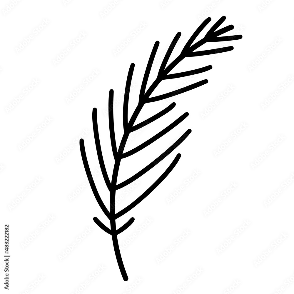 Coniferous tree branch vector icon. Hand-drawn illustration isolated on white background. Evergreen sprig of pine, fir, cedar, spruce with thorns. Botanical sketch of a seasonal plant Coniferous tree branch vector icon. Hand-drawn illustration isolated on white background. Evergreen sprig of pine, fir, cedar, spruce with thorns. Botanical sketch of a seasonal plant