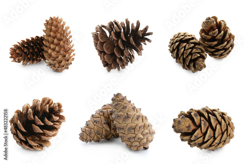 Set with beautiful pine cones on white background