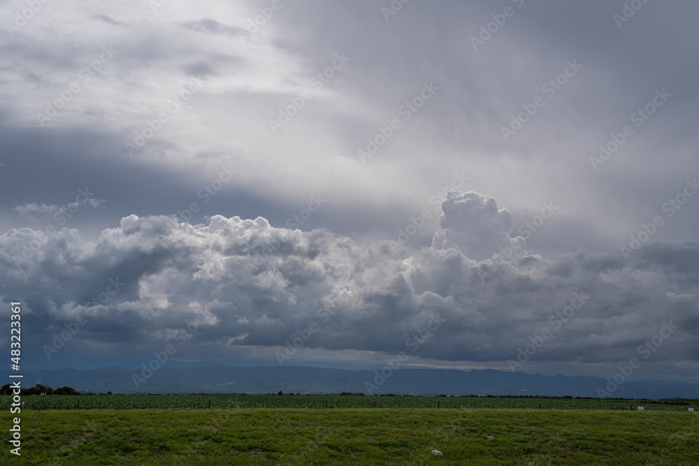 field planted with soybean sky with clouds large photo field planted with soybean sky with clouds large photo