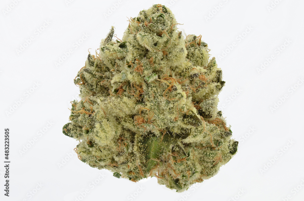Obraz premium Frosty Cannabis Flower