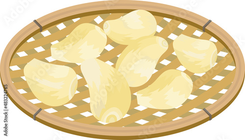 Illustration of seven Japanese shallots in a basket.