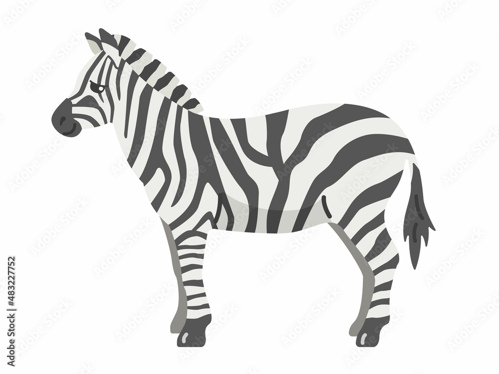 Obraz premium 横から見たシマウマのイラスト