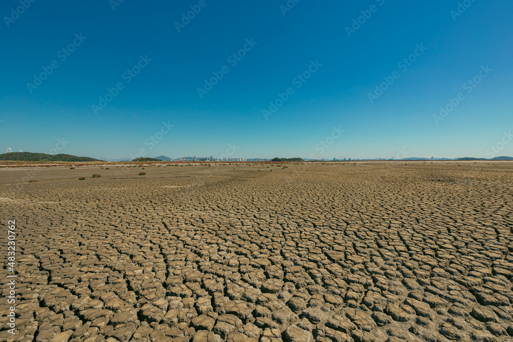 Fototapeta premium The land became dry due to drought