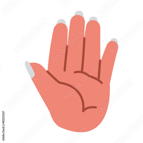 hand palm design