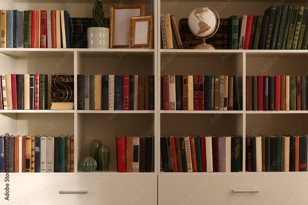 Collection of different books and decorative elements on shelves in home library Collection of different books and decorative elements on shelves in home library