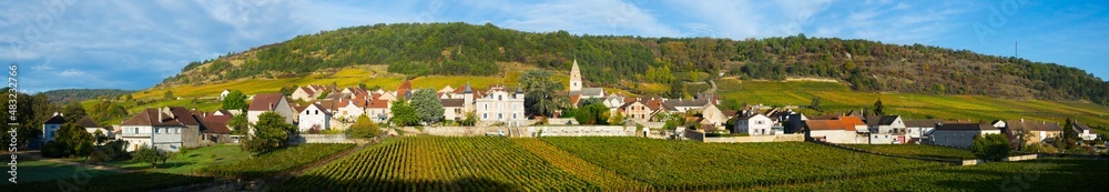 Image of Saint-Aubin, Burgundy - french village with famous vineyards at sunny day