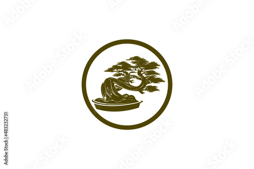 Bonsai tree logo design