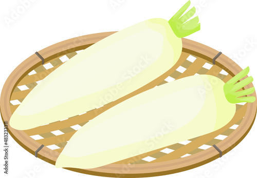 Illustration of a basket of two japanese white radishes. (Radish without leaves)