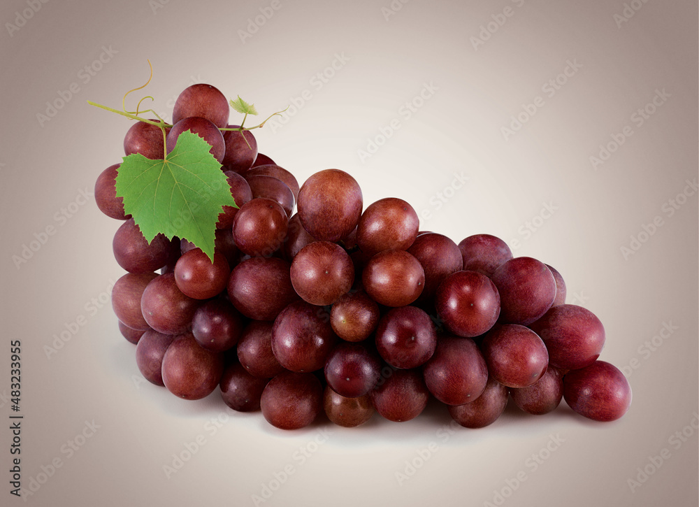 Obraz premium Purple grape bunch with leaf