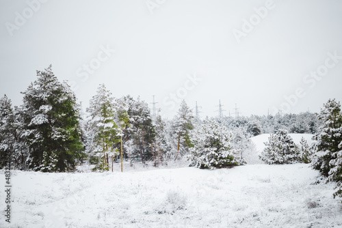 power lines in the winter forest