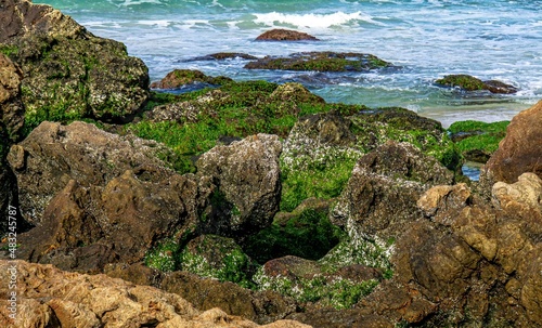 rocky coast of the sea