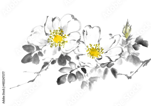 水墨画技法で描いた野薔薇