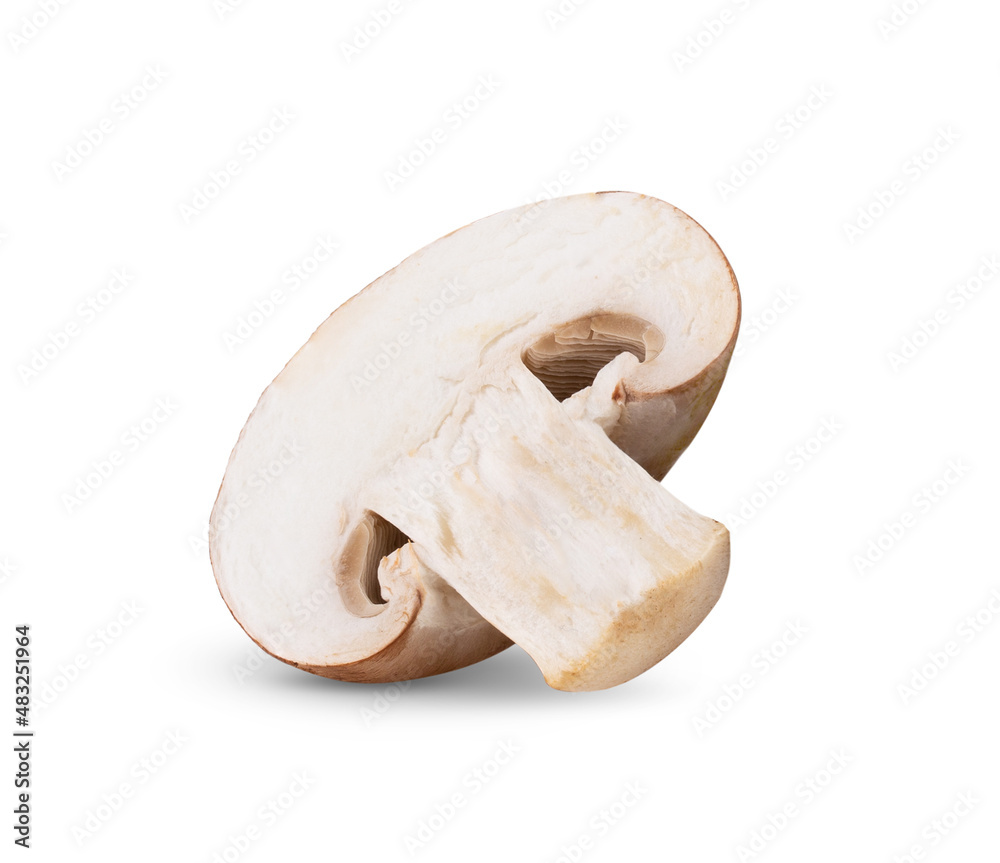 Fresh champignon mushrooms isolated on white Fresh champignon mushrooms isolated on white