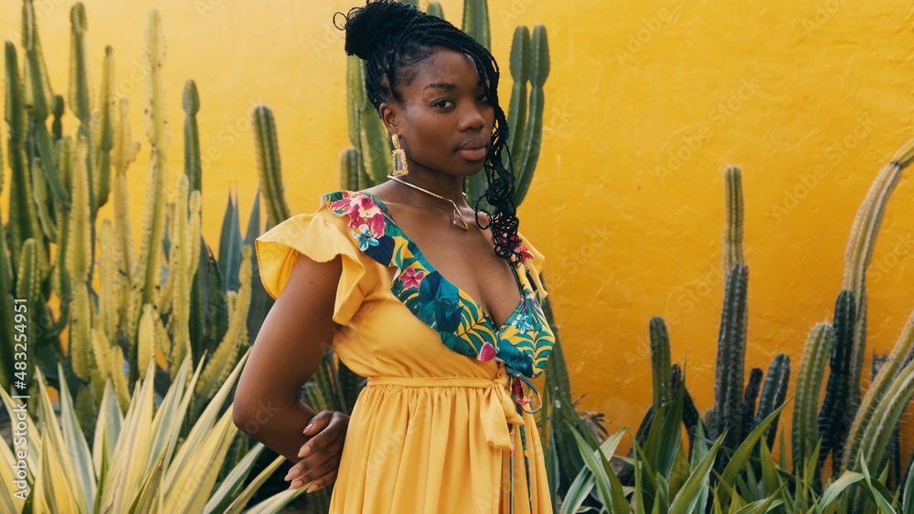 portrait of a beautiful African-American woman with cactuses by a yellow wall in the background. ethno concept