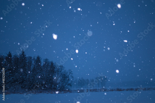 A beautiful, dark winter scenery while snowing. Bright white snowflakes. Snowy landscape of Northern Europe. © dachux21