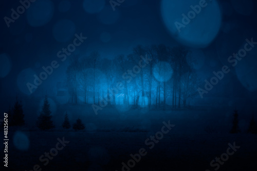 A dark winter scenery with white snow bokeh. Snowing in Northern Europe. Snowy landscape.