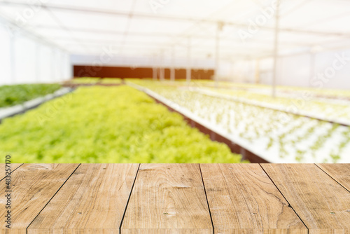 Hydroponics food plant farm blur with wooden table space for agriculture advertising montage background. photo