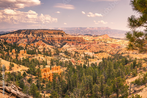 Bryce Canyon National Park and vibrant colors the sun turns the sandstone as it moves lower in the sky. Scenic western USA landscape