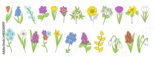 Horizontal frieze with spring flowers. Hand drawn flower and branches doodle. set of spring floral and snowdrops in the sketch style isolated on a white background. Vector illustration