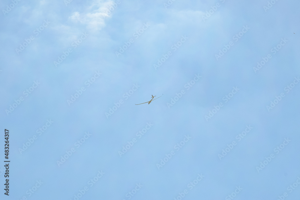 airplane in the sky airplane in the sky