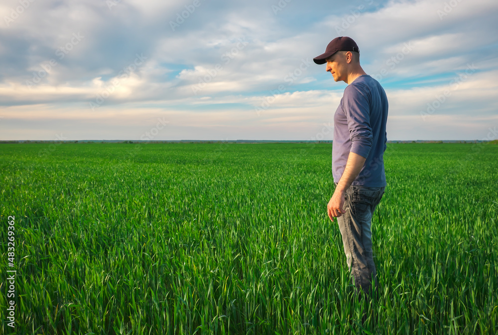 Handsome farmer. Young man walking in green field. Spring agriculture. Handsome farmer. Young man walking in green field. Spring agriculture.