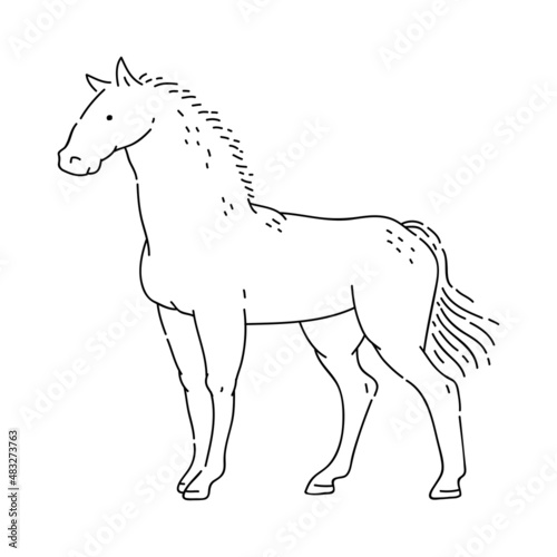 Horse vector doodle animal of Eastern astrological calendar black outline on white background.