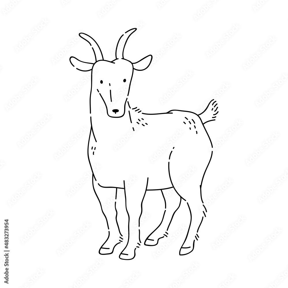Goat vector doodle animal of Eastern astrological calendar black outline on white background.