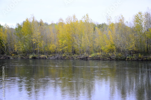lake in autumn