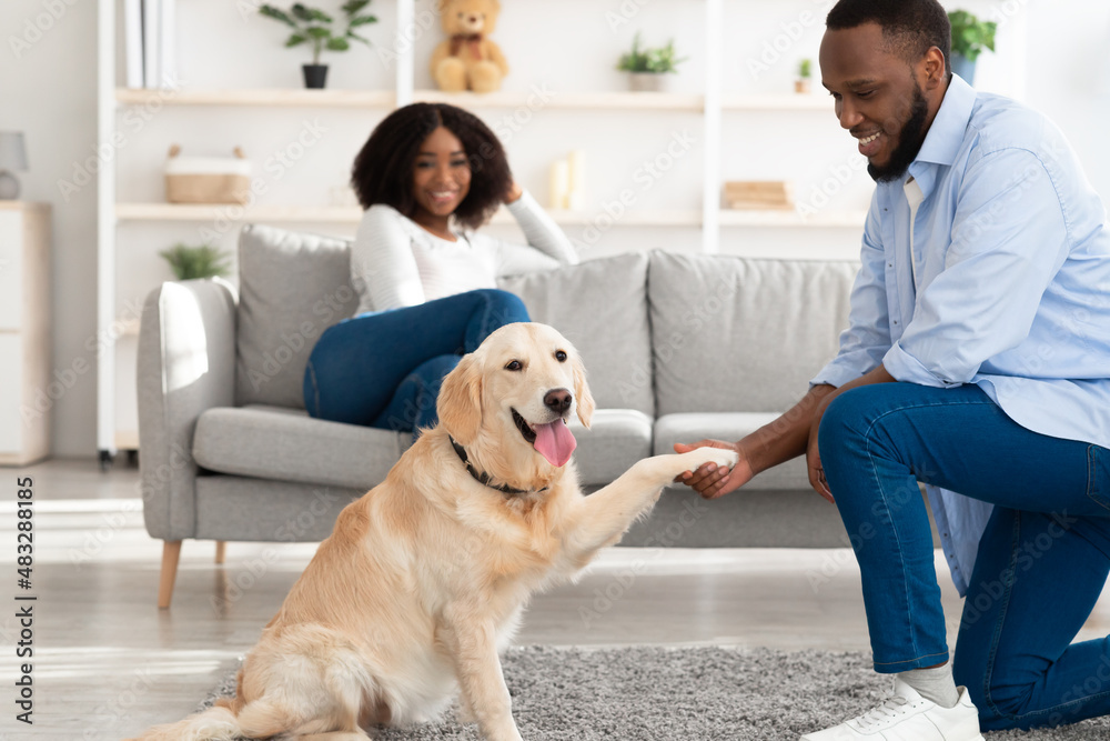 Smiling black man teaching dog to give paw Smiling black man teaching dog to give paw